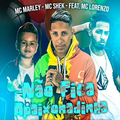 Não Fica Apaixonadinha (feat. MC Lorenzo) (Brega Funk) By MC Marley, Mc shek, MC Lorenzo's cover