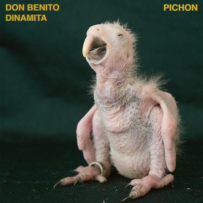 Don Benito Dinamita's cover