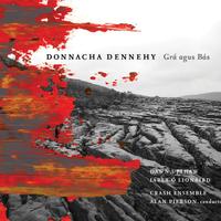 Donnacha Dennehy's avatar cover