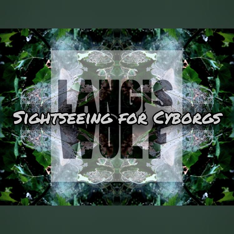 Langis Wolf's avatar image