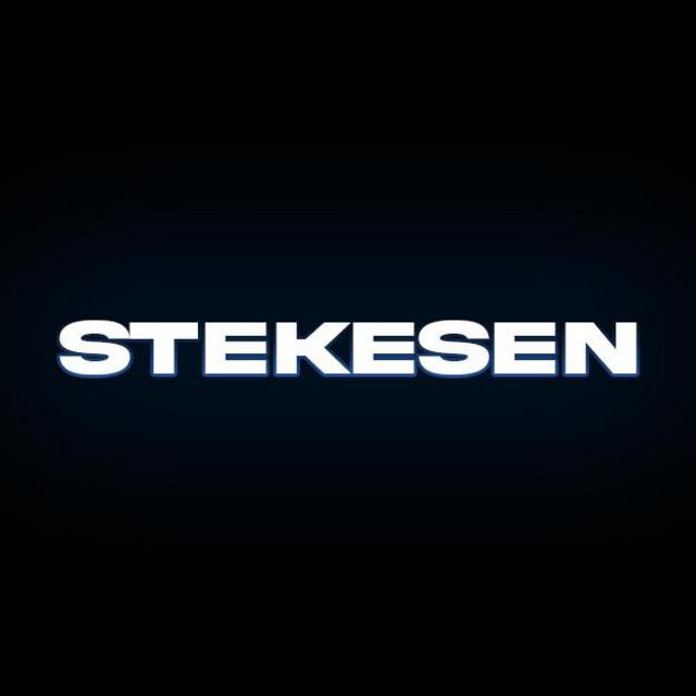 Stekesen's avatar image