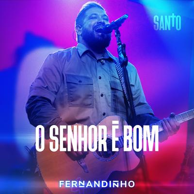 O Senhor É Bom (Ao Vivo)'s cover