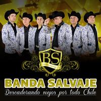 Banda Salvaje's avatar cover