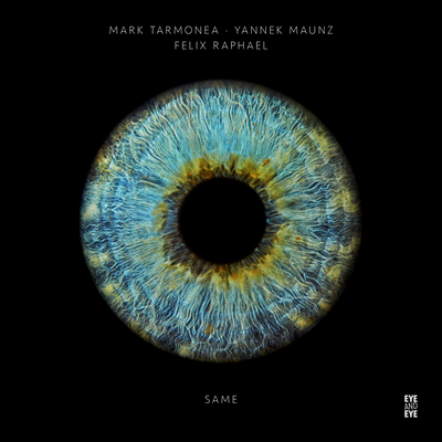 Same (Radio Edit) By Mark Tarmonea, Yannek Maunz, Felix Raphael's cover