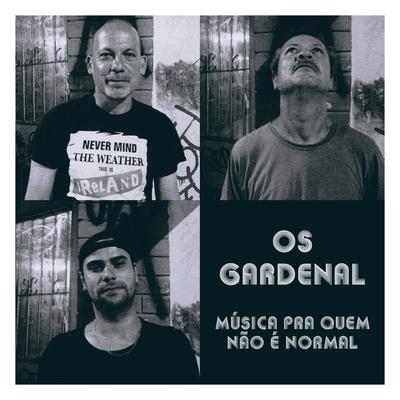 Música pra Quem Não É Normal's cover