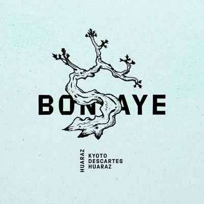 Descartes By Bonsaye's cover