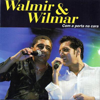 Será Que Foi Saudade By Walmir & Wilmar's cover