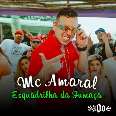 Esquadrilha da Fumaça's cover