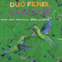 Duo Fenix's avatar cover