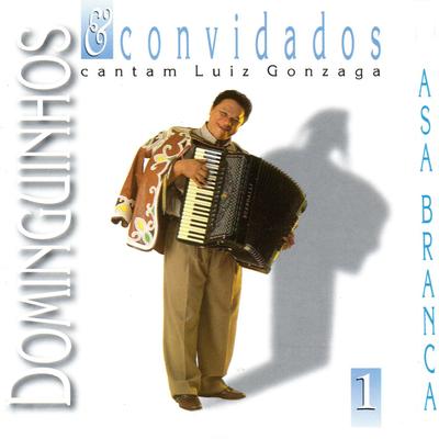Dominguinhos e Convidados Cantam Luiz Gonzaga, Vol. 1's cover