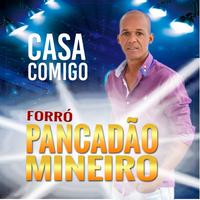 FORRÓ PANCADÃO MINEIRO's avatar cover