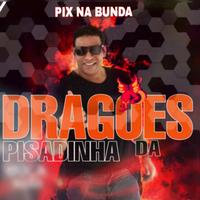 Dragões da Pisadinha's avatar cover