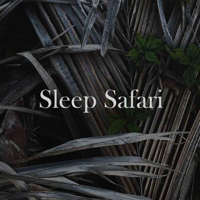 Sleep Safari's avatar image