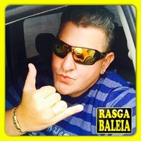 Rasga Baleia's avatar cover