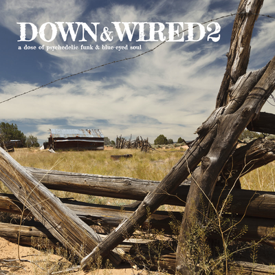 Down & Wired 2's cover