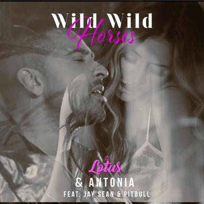 Wild Wild Horses (Danny Carlson Remix) By Antonia, Pitbull, Danny Carlson, Lotus, Jay Sean's cover