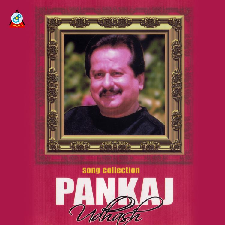 Pankaj Udhash's avatar image