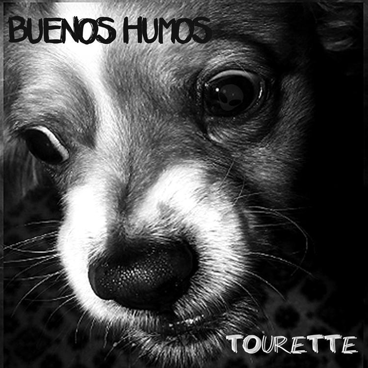 Buenos Humos's avatar image