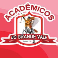 G.R.E.S Acadêmicos do Grande Vale's avatar cover