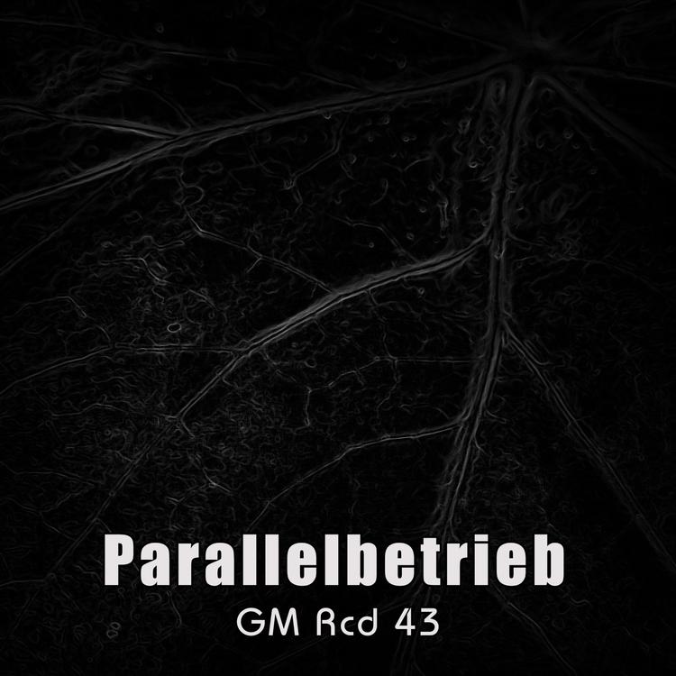 Parallelbetrieb's avatar image