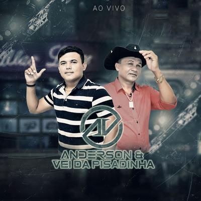 Tu Quer o Véi Ne (Ao Vivo) By Anderson & Vei da Pisadinha's cover