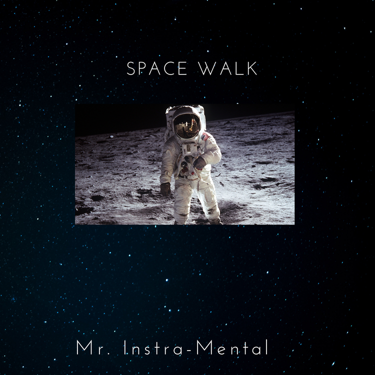 Mr. Instra-Mental's avatar image