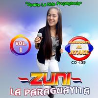 Zuni la Paraguayita's avatar cover