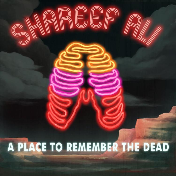 Shareef Ali's avatar image