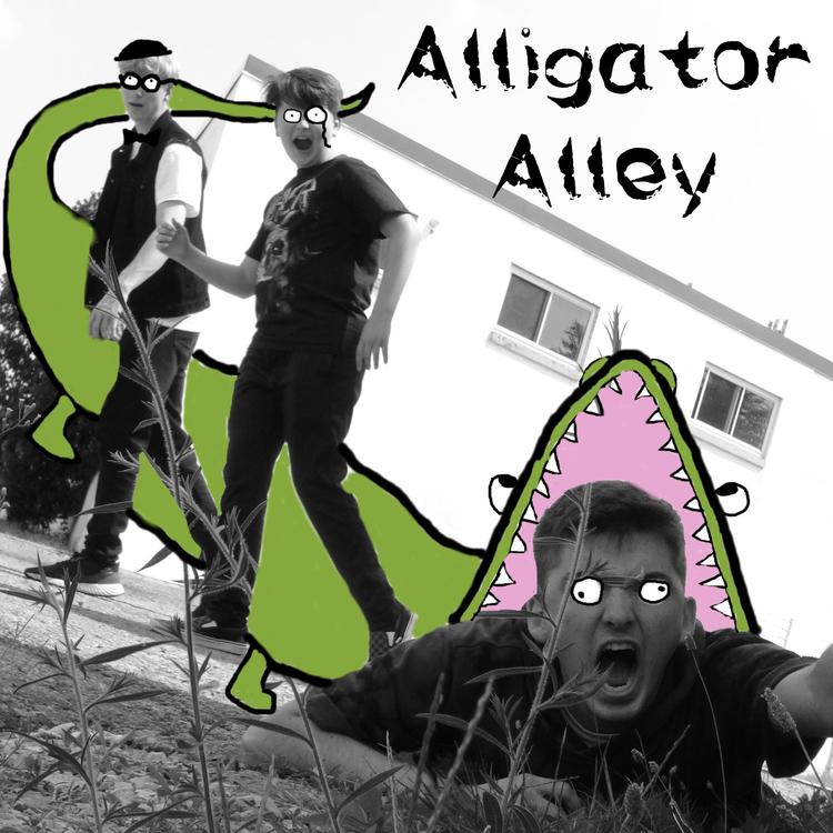 Alligator Alley's avatar image