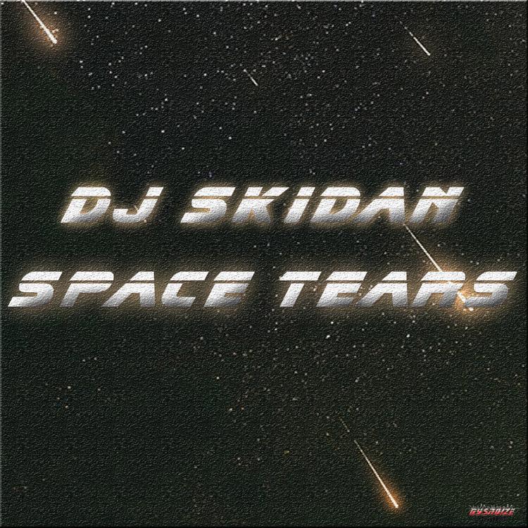 Dj Skidan's avatar image