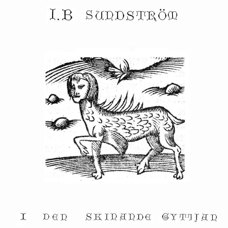 I.B. Sundström's avatar image