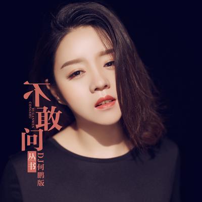 不敢问 (Dj何鹏版伴奏) By 丛书's cover