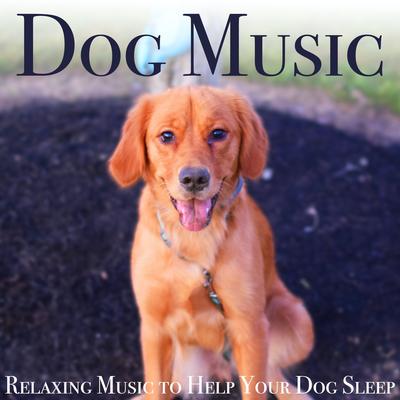 Dog Music: Relaxing Music to Help Your Dog Sleep's cover