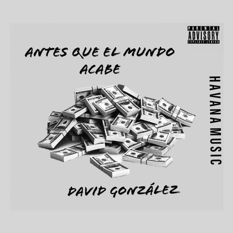 David Gonzalez's avatar image