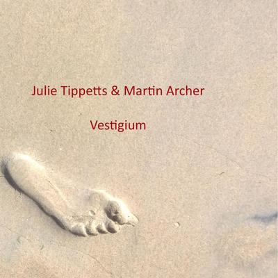 Too Cool By Julie Tippetts & Martin Archer's cover