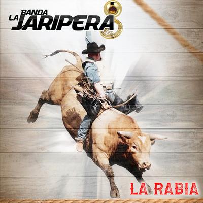 Banda La Jaripera's cover