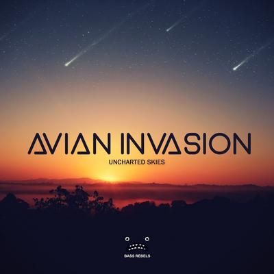 Uncharted Skies (Radio Mix) By Avian Invasion's cover