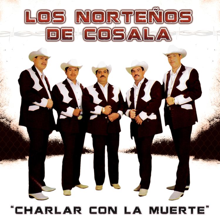 Los Norteños de Cosala's avatar image