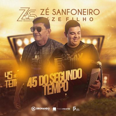 Menina do Sul By Zé Sanfoneiro e Zé Filho, Mano Walter's cover