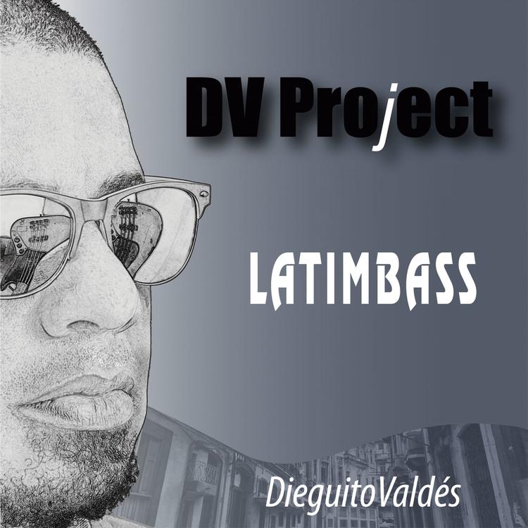 Dv - Project's avatar image