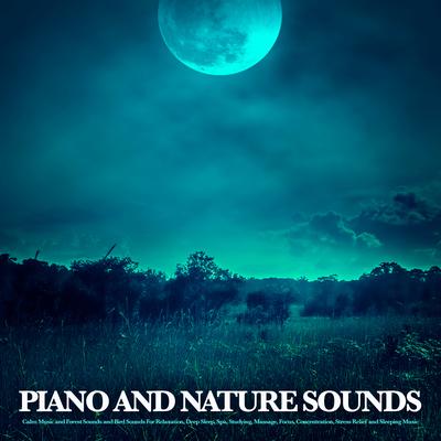 Soft Piano Music and Nature Sounds By Nature Sounds Nature Music, Sleeping Music, Music for Sleep's cover