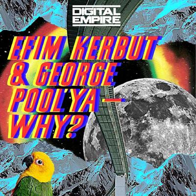 Why? (Hot Shit! Remix)'s cover