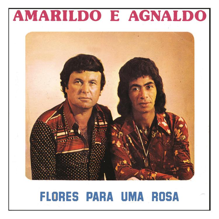 Amarildo e Agnaldo's avatar image