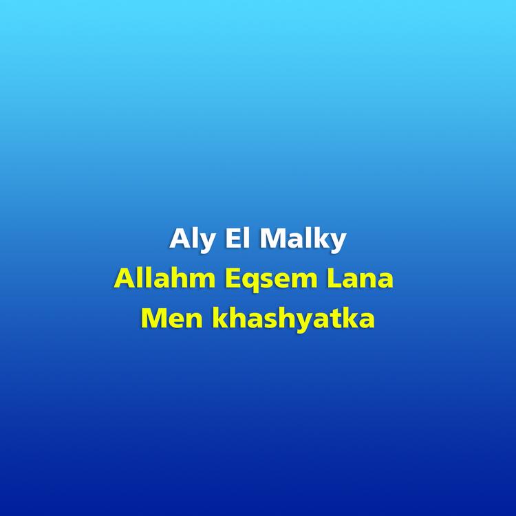 Aly El Malky's avatar image