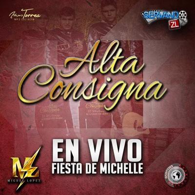 Fiesta de Michelle (En Vivo)'s cover