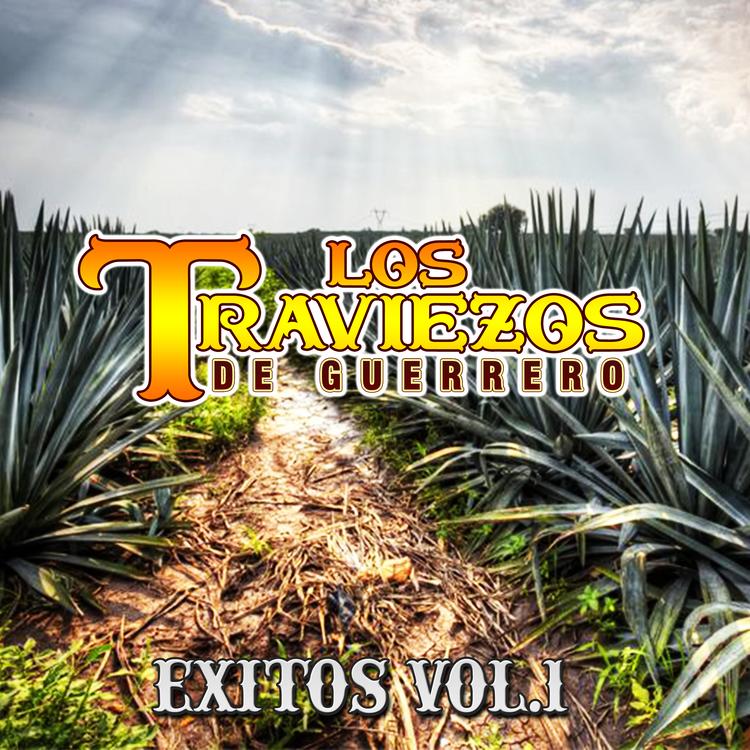 Los Traviezos De Guerrero's avatar image