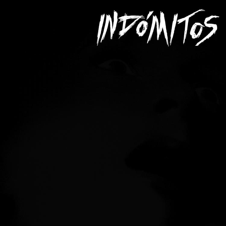 Indomitos's avatar image