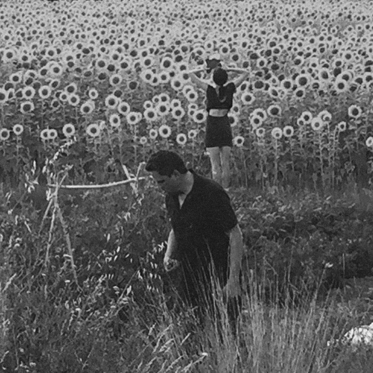 Jesu/Sun Kil Moon's avatar image