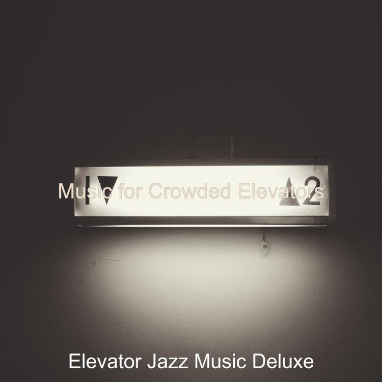 Elevator Jazz Music Deluxe's avatar image