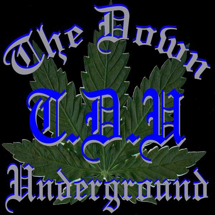 The Down Underground's avatar image